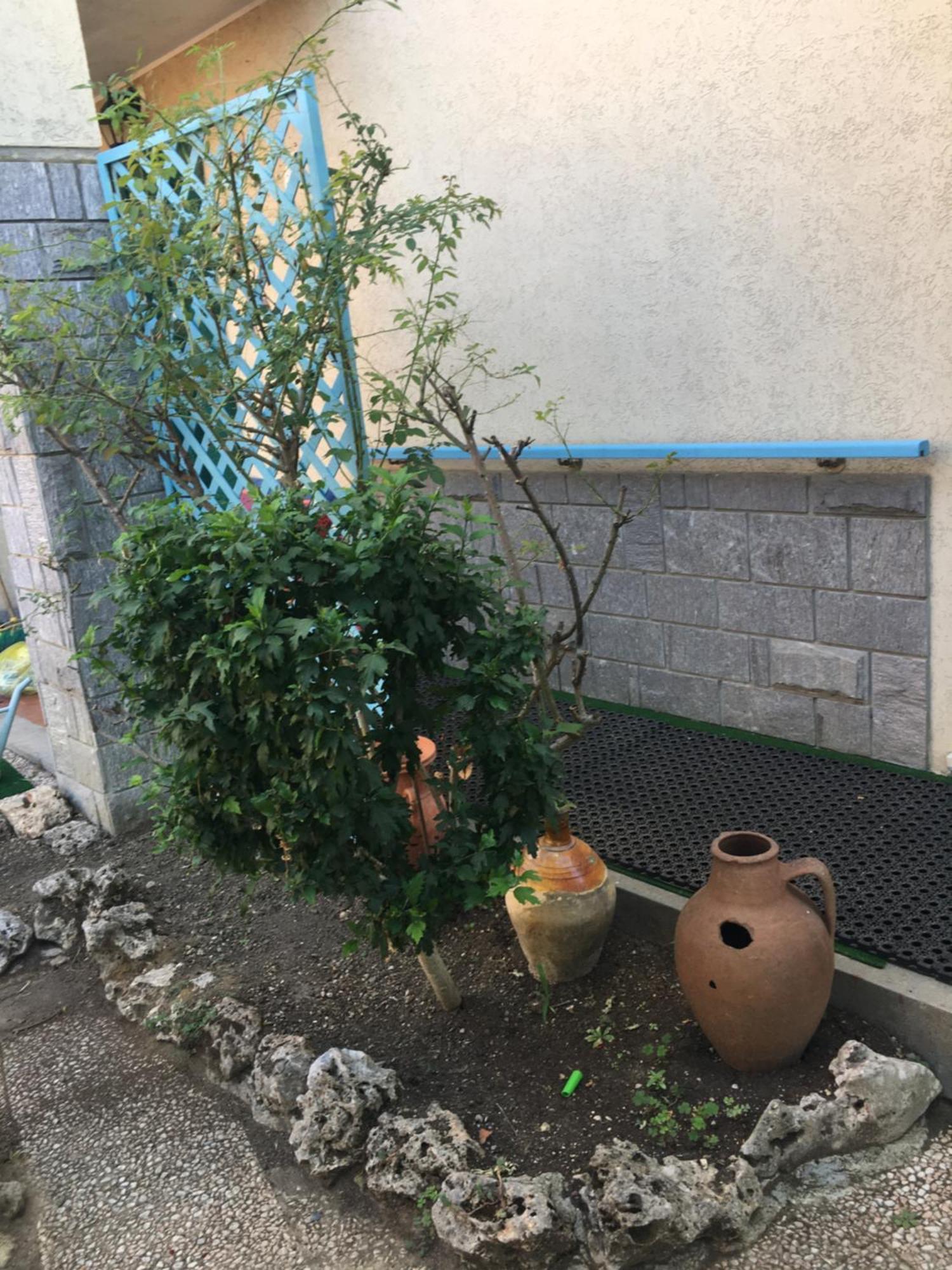 Apartmán Lerosedimiamamma Cassine Exteriér fotografie
